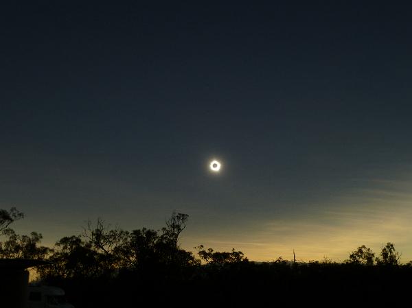 Distant eclipse in a dark sky with the moon passing in front of the sun with silhouetted bushes and copyspace