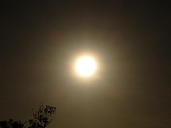 Corona surrounding the sun viewed through a haze as a luminous ring around the circumference