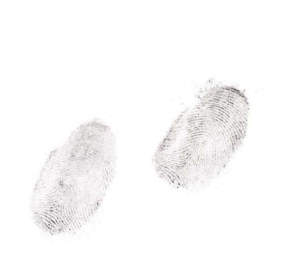 Two clear human fingerprints on a white background used to identify a person through the unique pattern of ridges and whorls for security or in a crime