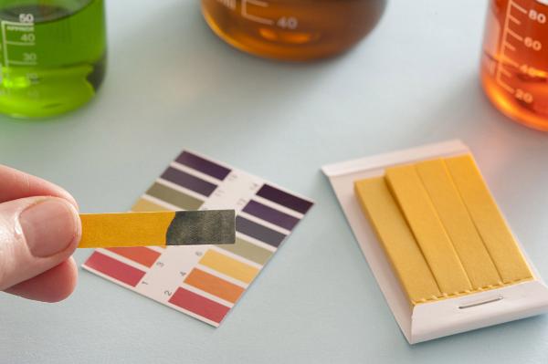 A close up of a person holding litmus paper during ph acid test with solution filled beakers in the background.