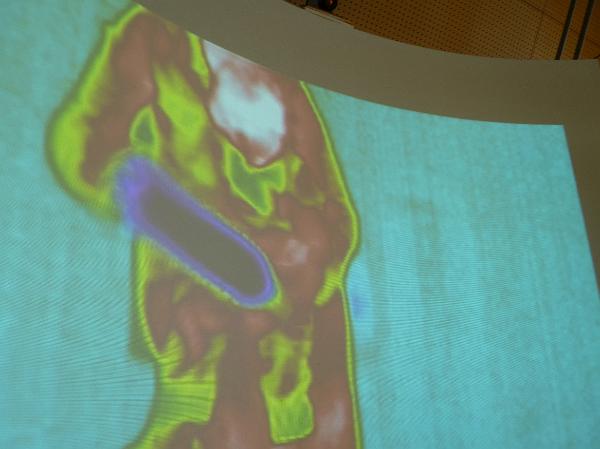 an infrared thermal image show the outline of a human body holding a flask of ice cold water