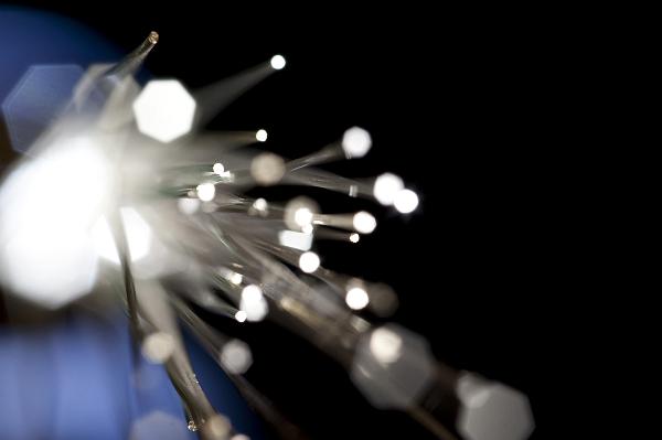 Bokeh of the beams of light visible at the end of the tube in fibre optics against a dark background with copyspace