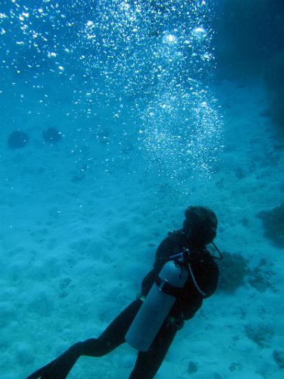 scuber divers underwater leaving a trail of bubbles as they exhale. At shallower depths the breath compress air in the same mix as the atmosphere, deeper dives require specialised gas mixes