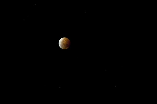 Copper colored full moon during an eclipse Copper colored full moon during a partial lunar eclipse in a dark sky with copy space