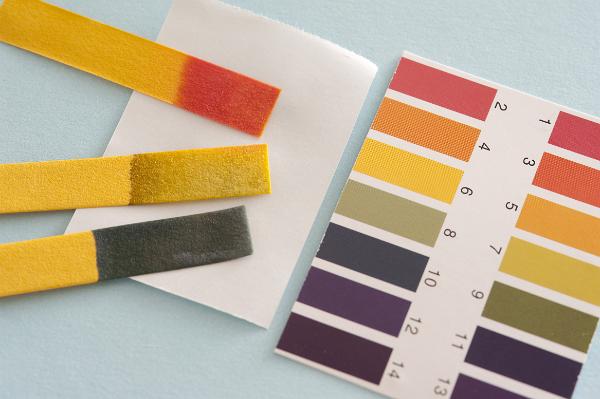 pH litmus paper chart and strips showing the color change for alkaline, neutral and acidic solutions